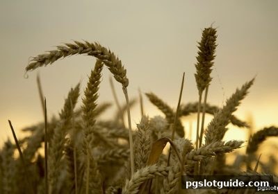 pg电子游戏新手必看：注册后如何快速熟悉界面与活动中心