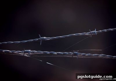 pg电子游戏平台入门须知：规则协议与权益保障全解析