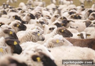 pg电子游戏深度解析：世界杯赛果与实力对比的路单分析新思路